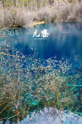 DBL-01不干胶标签剥离强度测试仪的介绍